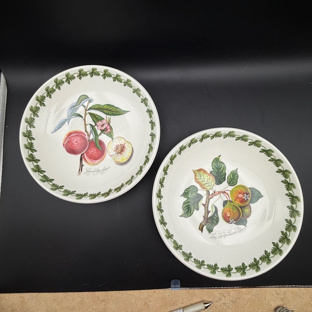 Portmeirion Pomona Pasta Bowl Set of 2 Fruit Botanical White England Laurel